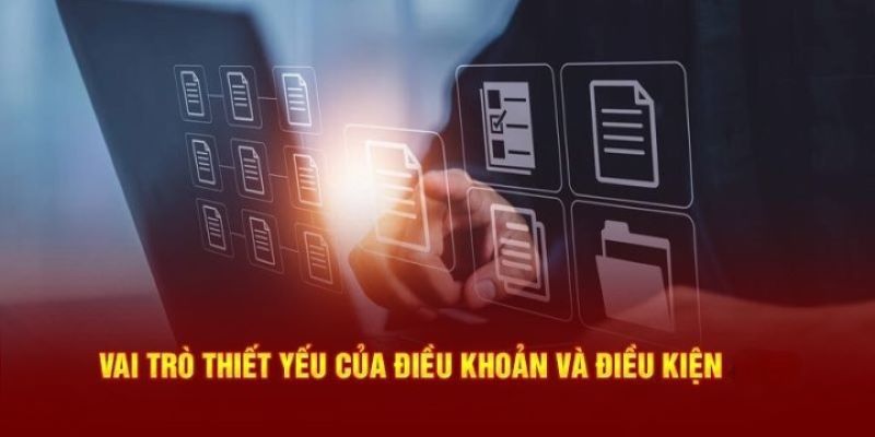 Điều khoản điều kiện typhu88 quy định chặt chẽ cho hội viên